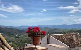 Casa Limonero